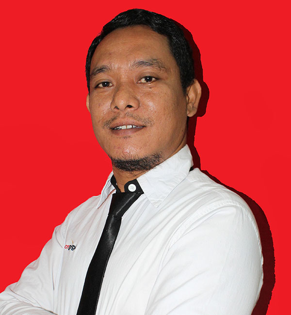 consultant