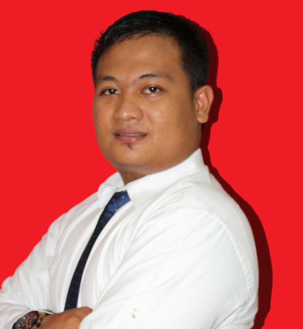 consultant