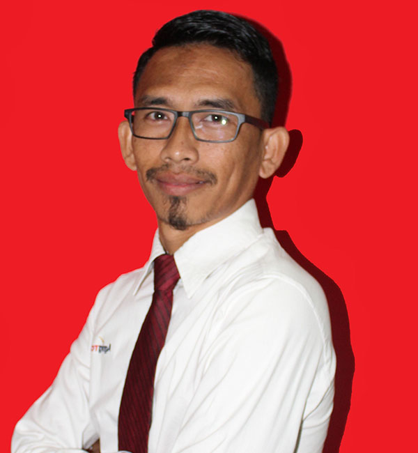 consultant