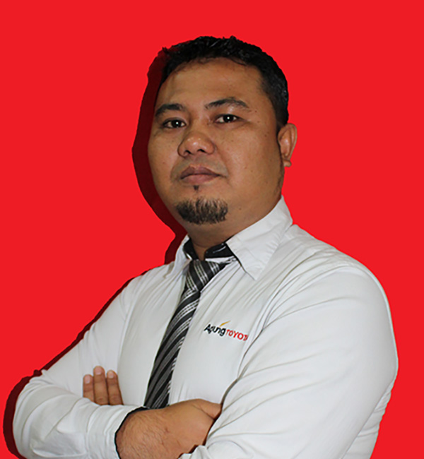consultant