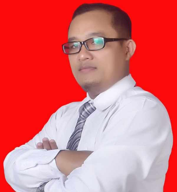 consultant