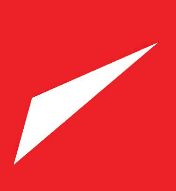 consultant